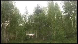 О взаимодействии в ходе поисков пропавших людей рассказали полицейские, спасатели и волонтёры.