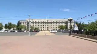 На девять месяцев перенесли вступление в силу областного закона, который прописывает умерщвление бездомных животных.