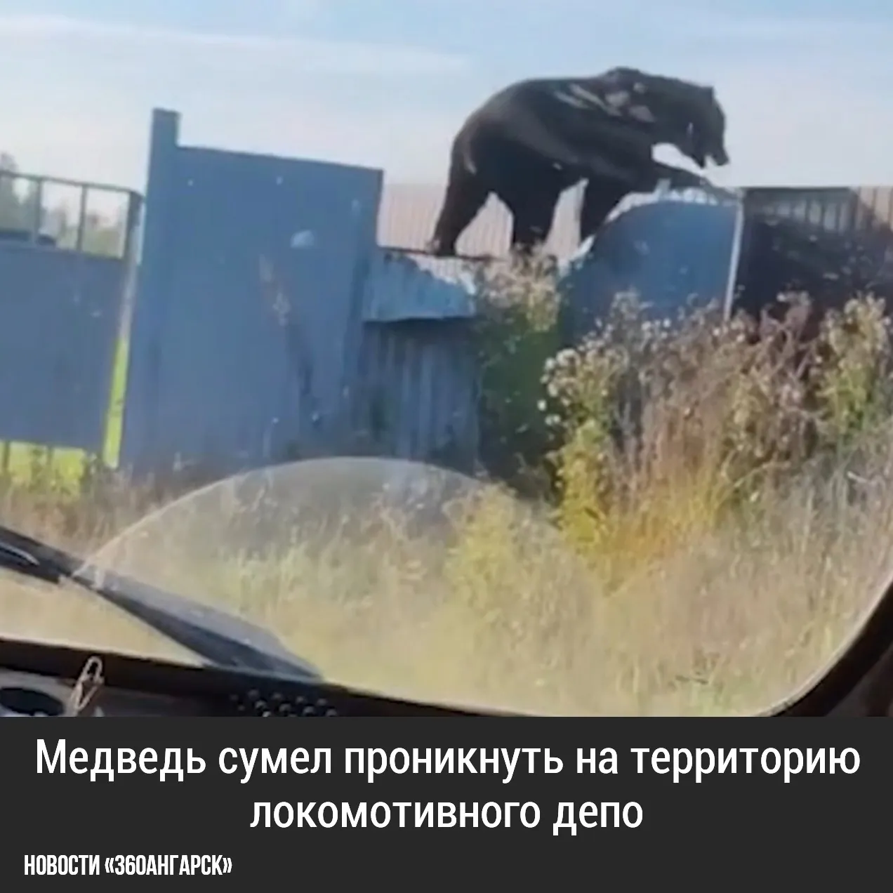 В Иркутской области произошел необычный инцидент: медведь сумел проникнуть на территорию локомотивного депо.