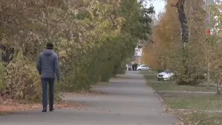 Обман под видом инвестиций – одна из самых распространённых схем мошенников в Прибайкалье.