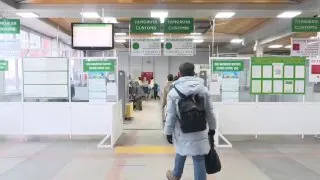 Ни одного дела о контрабанде древесины не завели в Прибайкалье впервые за последние семь лет.