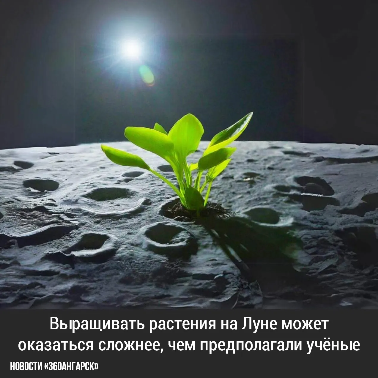 ИНТЕРЕСНЫЙ ФАКТ: