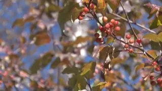 Каких погодных сюрпризов ждать жителям Иркутской области в ближайшие полгода.