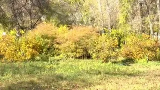 Придётся чаще проверять прогноз погоды в ближайшие дни.